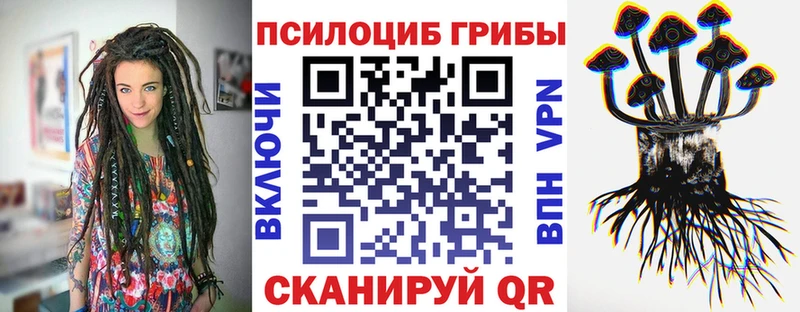 Псилоцибиновые грибы мицелий  Куса 